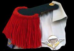 Legion Etrangere - 2eme rep - Les épaulettes de tradition